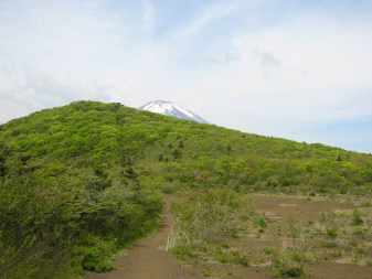 畑尾山