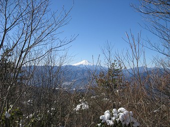 生藤山から