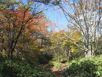 丸山登山口付近の紅葉