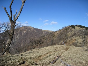 笹原の稜線