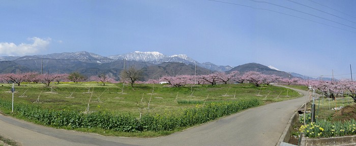鳳凰三山と甲斐駒ケ岳