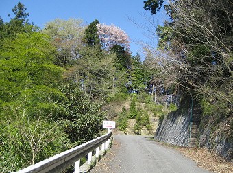 武川岳　登山口