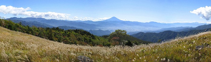 扇平のススキと富士山