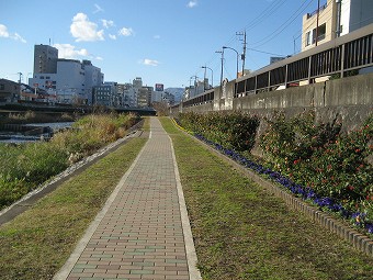 水無川の遊歩道