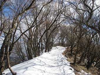 雪の残る表尾根稜線