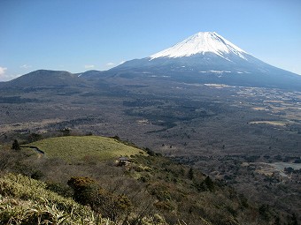 富士山と樹海
