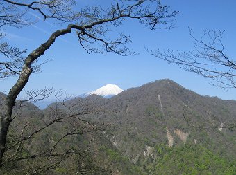 富士山と檜洞丸