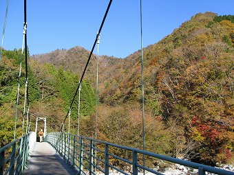西丹沢の吊り橋
