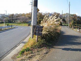 渋沢丘陵ハイキングコース