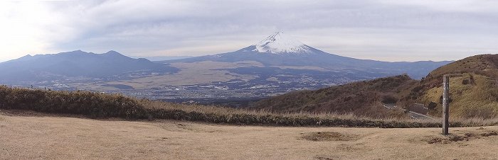 富士見ヶ丘公園から