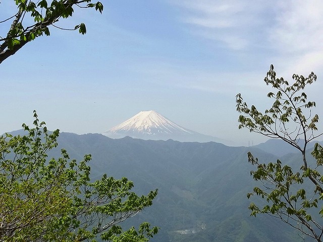 お坊山から見る富士山