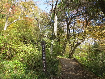 須雲川自然探勝歩道