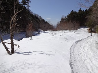 雪いっぱいの北沢林道