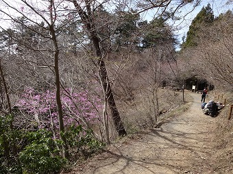 円塚山園地付近