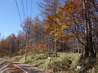 中日川峠の登山道入口