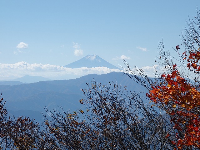 川苔山の富士山