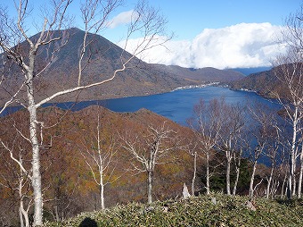 男体山とダケカンバ