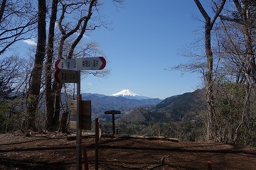コヤシロ山　山頂