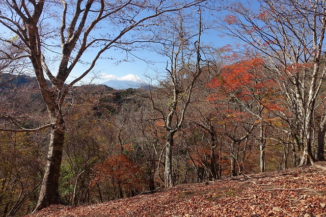 鬼石沢左岸尾根から富士山
